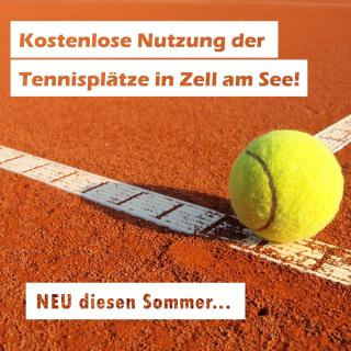Apartments Summer & Winter Fun by All in One Apartments - Zell am See - 2