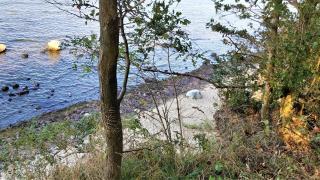 Ferienwohnung Poeler Möwe - Insel Poel - 7