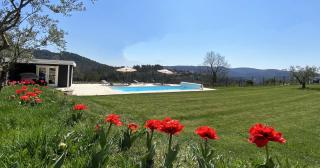 Le Mas des Oliviers - Gréoux-les-Bains - 3