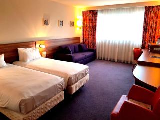 Kyriad Prestige Mulhouse - Basel - Sausheim - 3