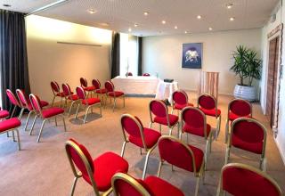Kyriad Prestige Mulhouse - Basel - Sausheim - 5