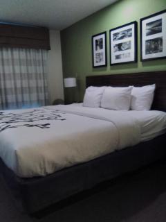 Sleep Inn Summersville - New River Gorge Area - Summersville - 3