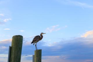Breakers 215 - Hilton Head Island - 6