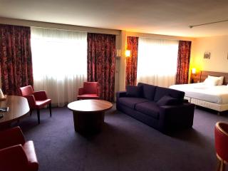 Kyriad Prestige Mulhouse - Basel - 1