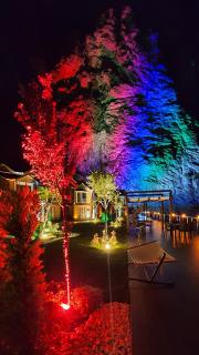 Villa Da Otel - Artvin - 2