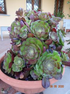 Agriturismo Fieri - 5