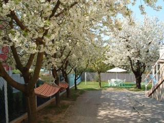 Apartman Hévíz Holiday - Hévíz - 8