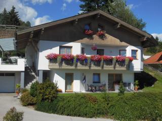 Ferienhaus Sporer - Iselsberg - 9