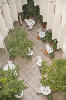 Condesa df, Mexico City, a Member of Design Hotels - Città del Messico - 7