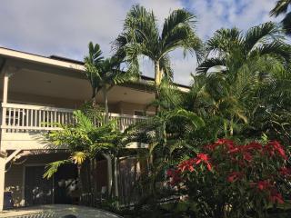 The cozy big studio -30 days - Kailua-Kona - 0