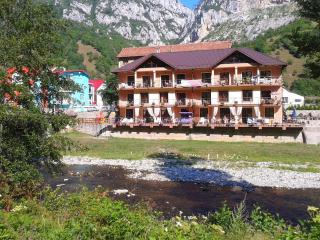 Pension Camelia - Băile Herculane - 7