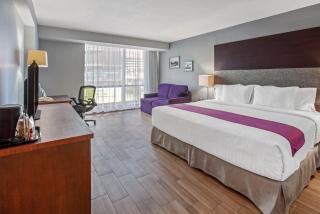 CHN Hotel Monterrey Centro, Trademark Collection by Wyndham - Monterrey - 9