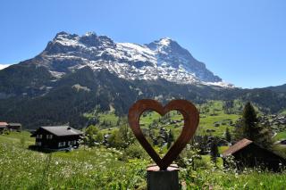 Hotel Cabana - Grindelwald - 3