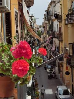 Il terrazzino sul Kemonia - Palermo - 1