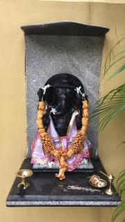 Nest Guest House - Bhubaneshwar - 9
