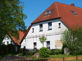 Familienfreundlicher Landurlaub im Gutshaus - Trent - 9