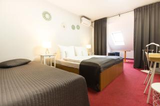 Hotel Maroli Mikulov - Mikulov - 5