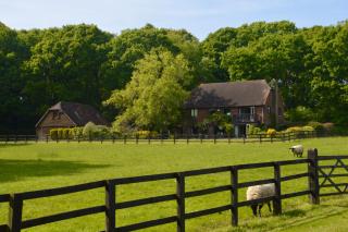 The Hideaway-South Downs National Park - Graffham - 5