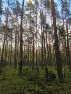 Pensjonat Zakątek - 7