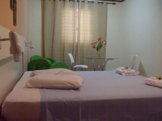 Hotel Urubupunga - Ilha Solteira - 1