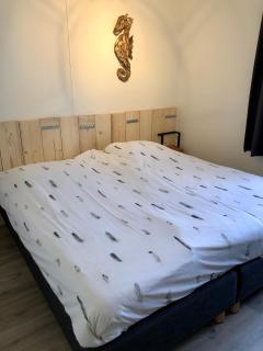 Puur Texels 6 - De Koog - 6