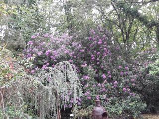 Chambres d'hôtes La Brillève - 2