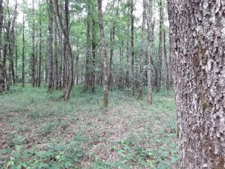 Chambres d'hôtes La Brillève - 3