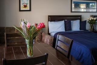 Riptide Oceanfront Hotel - Hollywood - 1