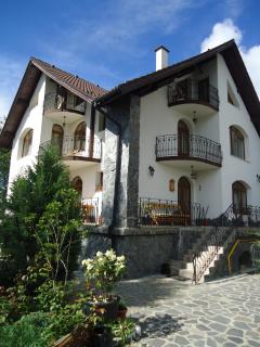 Pensiunea Crocus - Sauna & Billiard - Poiana Brasov - 9