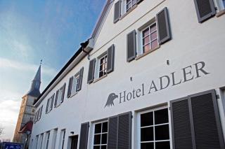 Hotel Adler - Bad Friedrichshall - 1