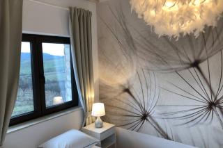 Villa Transylvania - Posnaş - 1