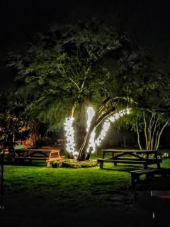 Top of the Hill RV Resort & Cabins - Waring - 9
