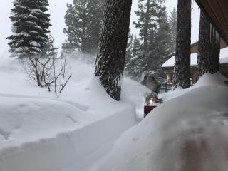 Mountainback #45, Den - Mammoth Lakes - 0