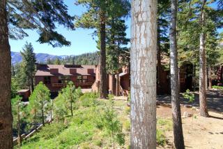 Mammoth Ski & Racquet Club #115 - Mammoth Lakes - 3