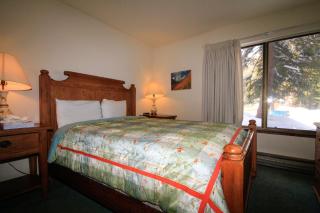 Discovery 4 #111 Pet Ok - Mammoth Lakes - 8