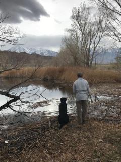 Mountainback #41, Loft - Mammoth Lakes - 6
