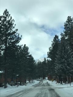 Mountainback #111 - Mammoth Lakes - 7