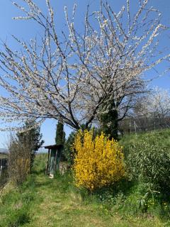 Appartamento TieMi - Coldrerio - 7