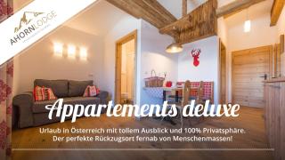 Ahornlodge - Mayrhofen - 9