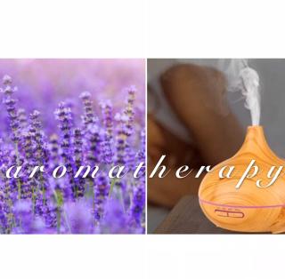 Apartmán 2KK Sauna and Aromatherapy - Jihlava - 3