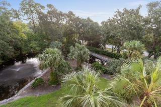 Isle be Back! - Hilton Head Island - 8
