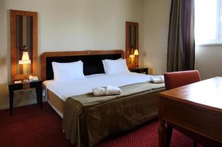 Hotel Termas da Curia - Curia - 6