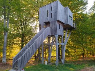 L'étape en forêt - 2