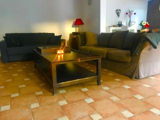 Lilly bulles en Champagne piscine et jardin privée - 6