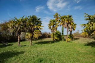 Maison de village -8 pers- Piscine chauffée & cuisine d'été en Gascogne - Mézin - 3