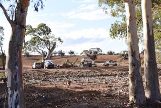 Holowiliena Station & The Outback Blacksmith - 9