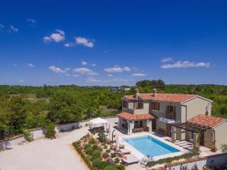 Wonderful villa Gracia Patricia with private pool - Svetvinčenat - 9