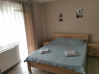 Apartmani Milica - Kruševac - 3