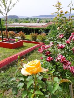 Valena's house - 7