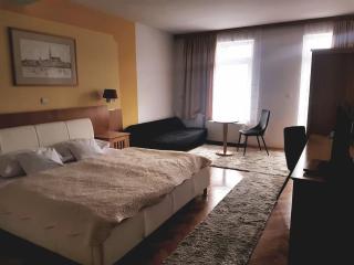 Hotel Millennium - Osijek - 7